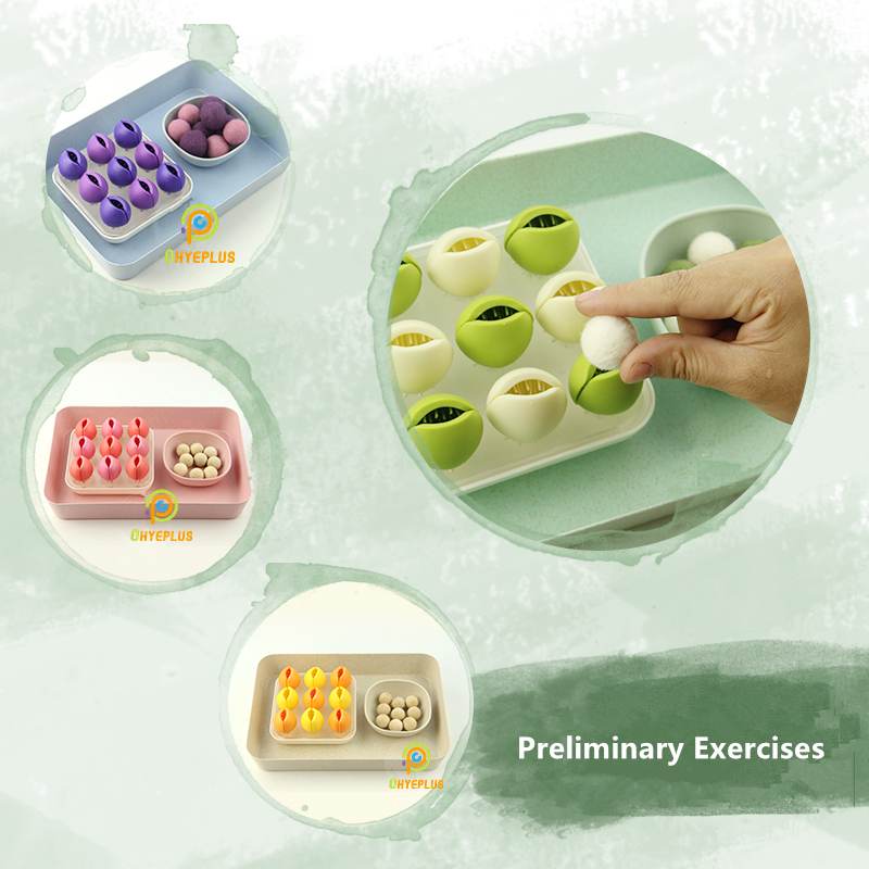 Montessori Educational Toys Ba - Kids Education Activities ulasan dan harga